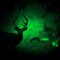 What Animals Are Commonly Hunted Using Night Vision