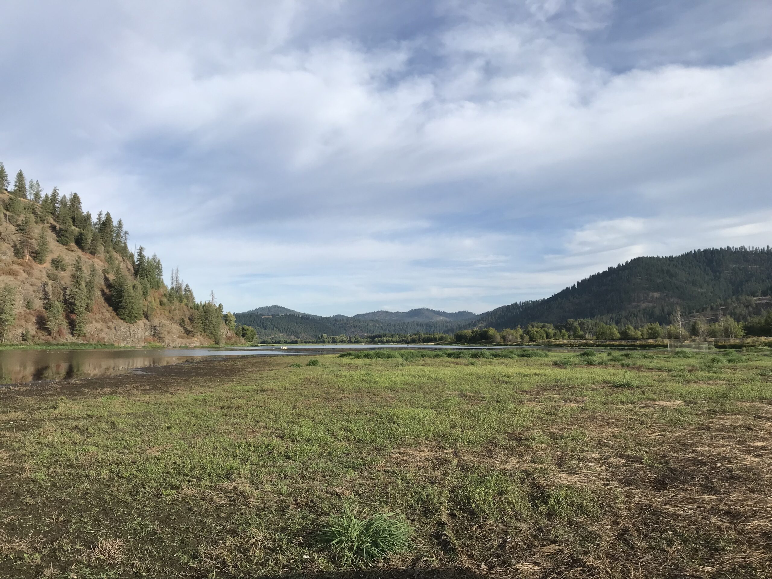 Pheasant Hunting Season in the Panhandle Region of Idaho