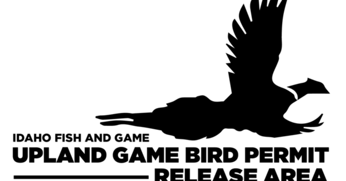 Pheasant Hunting Season in the Panhandle Region of Idaho