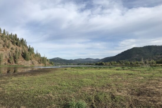 Pheasant Hunting Season in the Panhandle Region of Idaho