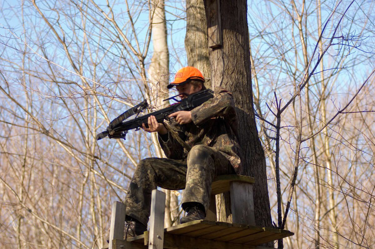 Staying Safe in Your Tree Stand during Archery Deer Season